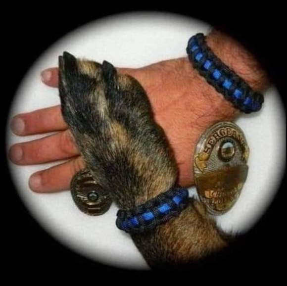 Meet your Posher, Cindy - Picture 1 of 1